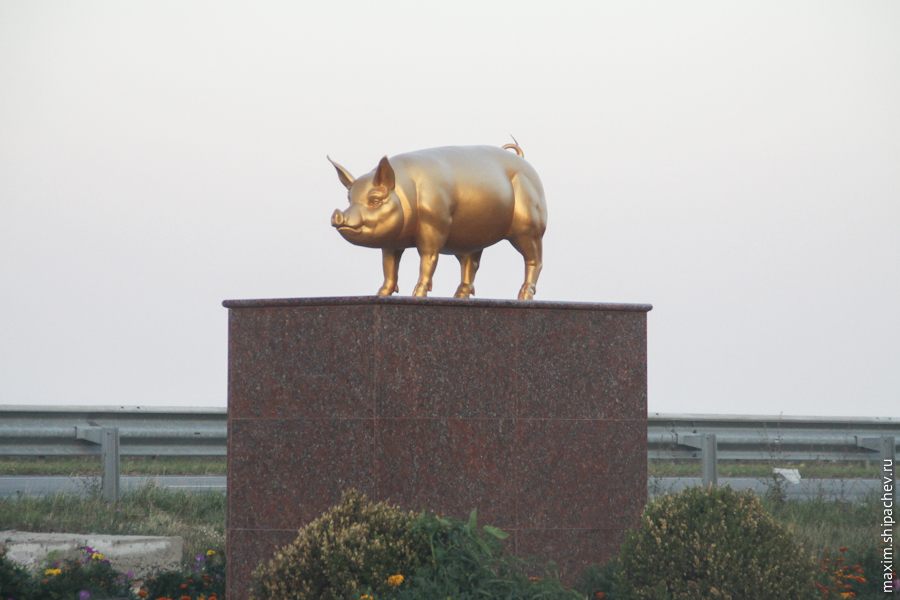 Памятник свинье из чистого золота