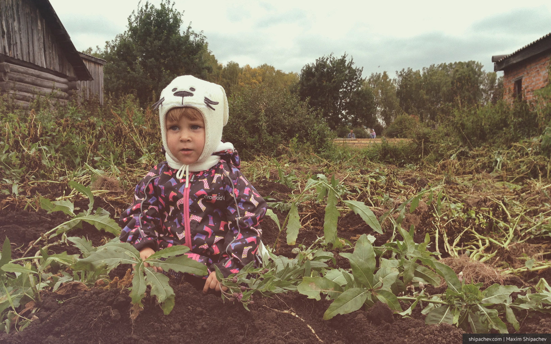 Городской ребёнок среди картофельной ботвы и сорняков